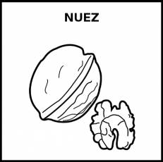 NUEZ - Pictograma (blanco y negro)