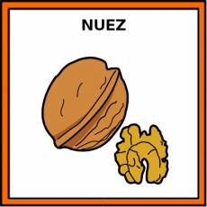 NUEZ - Pictograma (color)