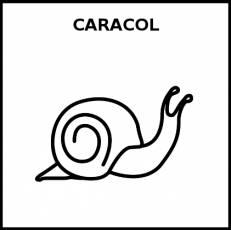CARACOL - Pictograma (blanco y negro)