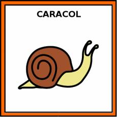 CARACOL - Pictograma (color)