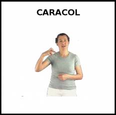 CARACOL - Signo