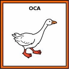OCA - Pictograma (color)