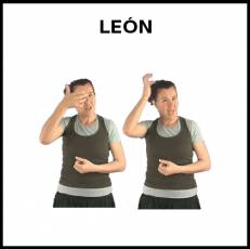 LEÓN (ANIMAL) - Signo