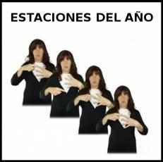 ESTACIONES DEL AÑO - Signo