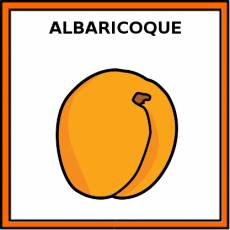 ALBARICOQUE - Pictograma (color)