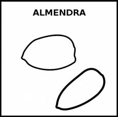 ALMENDRA - Pictograma (blanco y negro)