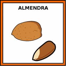 ALMENDRA - Pictograma (color)