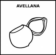 AVELLANA - Pictograma (blanco y negro)
