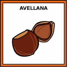AVELLANA - Pictograma (color)