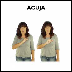 AGUJA - Signo