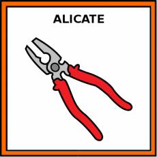 ALICATE - Pictograma (color)
