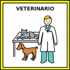 VETERINARIO - Pictograma (color)