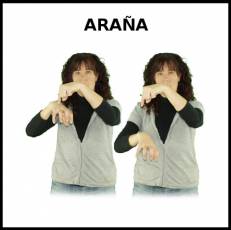 ARAÑA - Signo