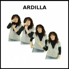 ARDILLA - Signo