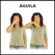 ÁGUILA - Signo