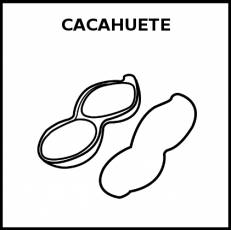 CACAHUETE - Pictograma (blanco y negro)