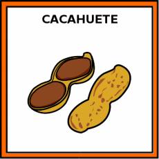 CACAHUETE - Pictograma (color)