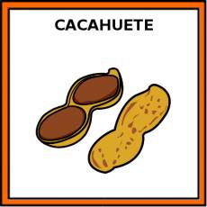 CACAHUETE - Pictograma (color)