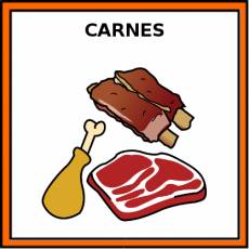 CARNES - Pictograma (color)