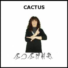 CACTUS - Signo