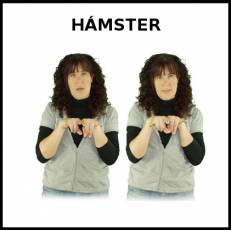 HÁMSTER - Signo