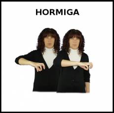 HORMIGA - Signo