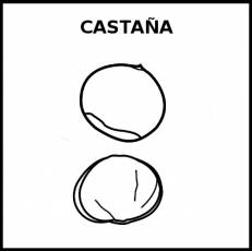CASTAÑA - Pictograma (blanco y negro)