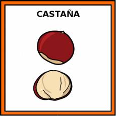 CASTAÑA - Pictograma (color)