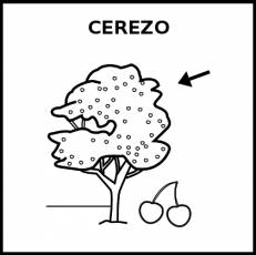 CEREZO - Pictograma (blanco y negro)