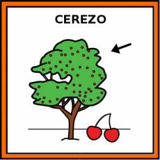 CEREZO - Pictograma (color)