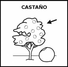 CASTAÑO (ARBOL) - Pictograma (blanco y negro)