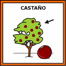 CASTAÑO (ARBOL) - Pictograma (color)