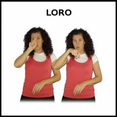LORO - Signo