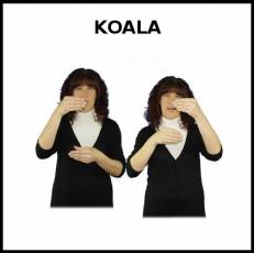 KOALA - Signo