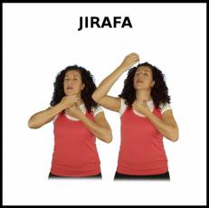JIRAFA - Signo