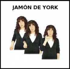 JAMÓN DE YORK - Signo