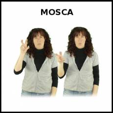 MOSCA - Signo