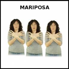 MARIPOSA - Signo