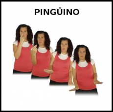 PINGÜINO - Signo