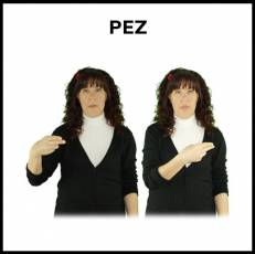 PEZ - Signo
