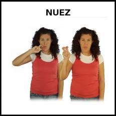 NUEZ - Signo