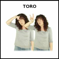 TORO - Signo