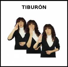 TIBURÓN (ANIMAL) - Signo