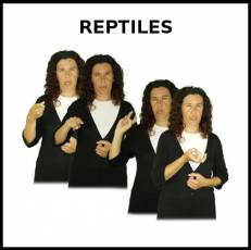 REPTILES - Signo