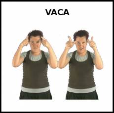 VACA - Signo