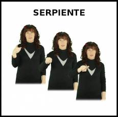 SERPIENTE - Signo