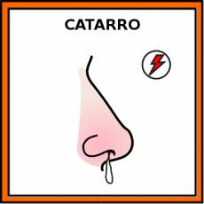 CATARRO - Pictograma (color)