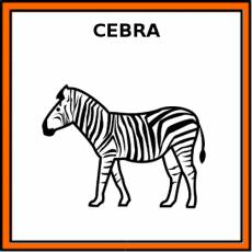 CEBRA - Pictograma (color)