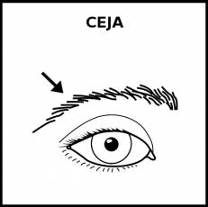CEJA - Pictograma (blanco y negro)