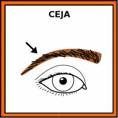 CEJA - Pictograma (color)